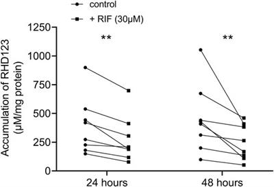 Rifampicin Induces Gene, Protein, and Activity of P-Glycoprotein (ABCB1) in Human Precision-Cut Intestinal Slices